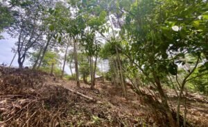 Dan Lancinger Real Estate Uvita 18