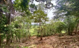 Dan Lancinger Real Estate Uvita 19