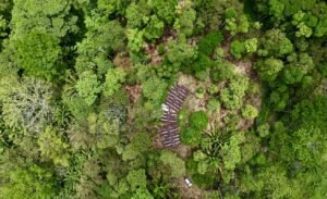 Dan Lancinger Real Estate Uvita 2