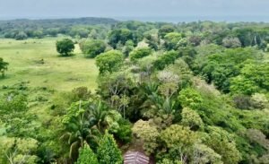 Dan Lancinger Real Estate Uvita 5