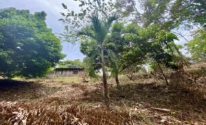 Dan Lancinger Real Estate Uvita 6