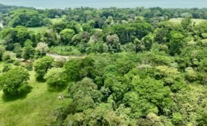 Dan Lancinger Real Estate Uvita 8