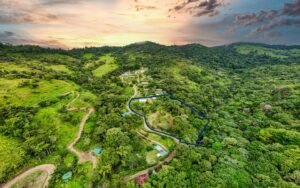 Drone_Serenity Gardens1