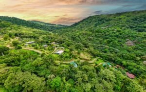 Drone_Serenity Gardens2