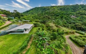 Drone_Serenity Gardens3