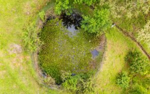 Drone_Serenity Gardens4