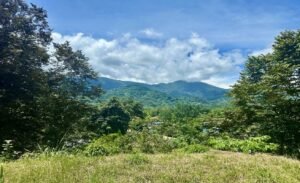 Foto 1-10-25, 19 09 13 (2)