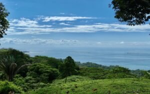 Foto 10-12-24, 10 14 19 a m