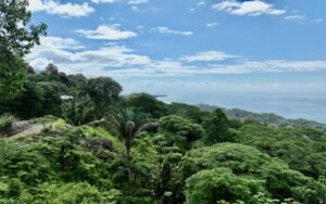 Foto 10-12-24, 10 15 27 a m