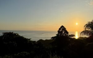 Foto 27-1-25, 5 18 06 p m