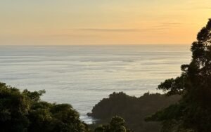 Foto 27-1-25, 5 19 51 p m