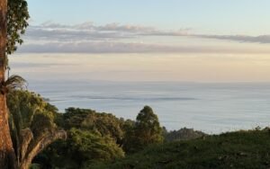 Foto 27-1-25, 5 24 59 p m