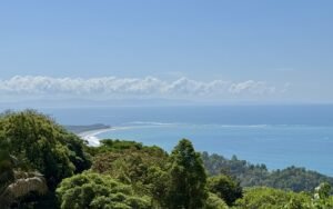 Foto 28-1-25, 10 12 41 a m