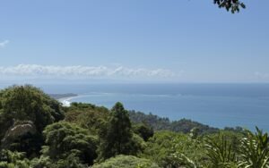 Foto 28-1-25, 10 12 51 a m