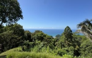 Foto 28-1-25, 10 14 31 a m