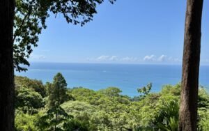 Foto 28-1-25, 10 16 02 a m