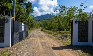 Foto 3-20-23, 9 10 33 am