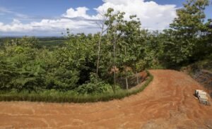 Foto 6-21-24, 10 32 28 am