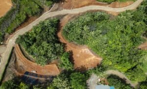 Foto 6-21-24, 10 34 02 am