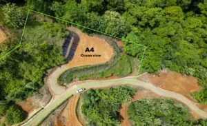 Foto 6-21-24, 10 34 43 am