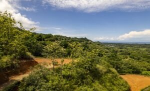 Foto 6-21-24, 10 38 17 am