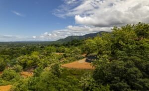 Foto 6-21-24, 10 39 04 am