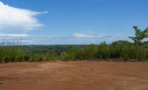 Foto 6-21-24, 10 50 49 am