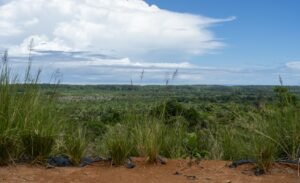 Foto 6-21-24, 10 51 34 am