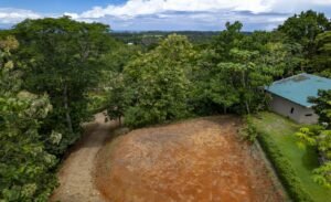 Foto 6-21-24, 11 03 36 am