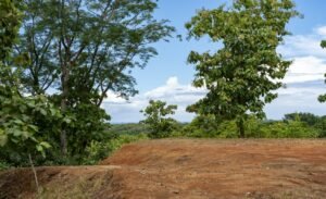 Foto 6-21-24, 11 17 26 am