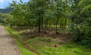 Foto 9-18-25, 10 25 49 am