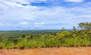 Foto 9-18-25, 11 27 17 am