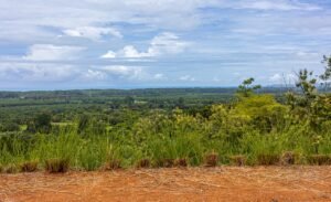 Foto 9-18-25, 11 31 32 am