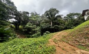 Foto 9-6-25, 12 22 50 pm