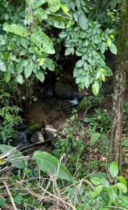 Foto 9-6-25, 12 23 55 pm