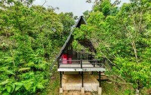 Guesthouse_Serenity Gardens1