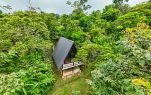 Guesthouse_Serenity Gardens2