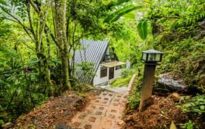 Guesthouse_Serenity Gardens3