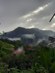 Image 2025-01-16 at 12.21.10 PM