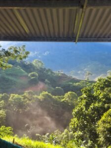 Image 2025-01-16 at 12.21.24 PM