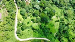 Photo-26-10-24-12-10-31-PM