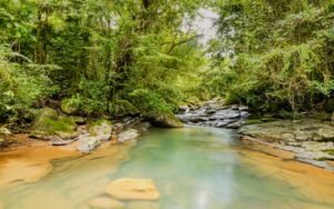 River_Serenity Gardens2