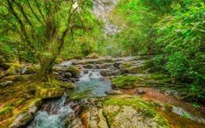 River_Serenity Gardens4