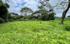 WhatsApp Image 2025-10-09 at 10.19.45_9c0b08c4