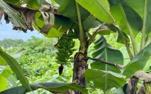 WhatsApp Image 2025-10-09 at 10.19.45_c199e141