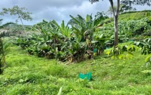 WhatsApp Image 2025-10-09 at 10.19.45_e83009f9