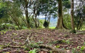 WhatsApp Image 2025-10-09 at 10.19.46_2b8aaac6