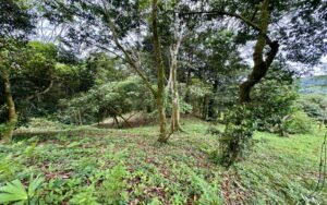 WhatsApp Image 2025-10-09 at 10.19.46_a47e075b