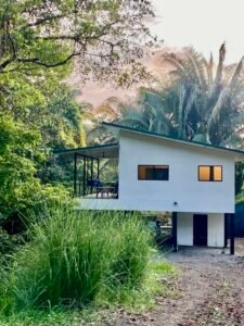 b96171d2-638f-4e89-bc56-1995d37ccda3 (1)