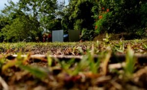 dji_fly_20250115_085102_0650_1736953436206_photo